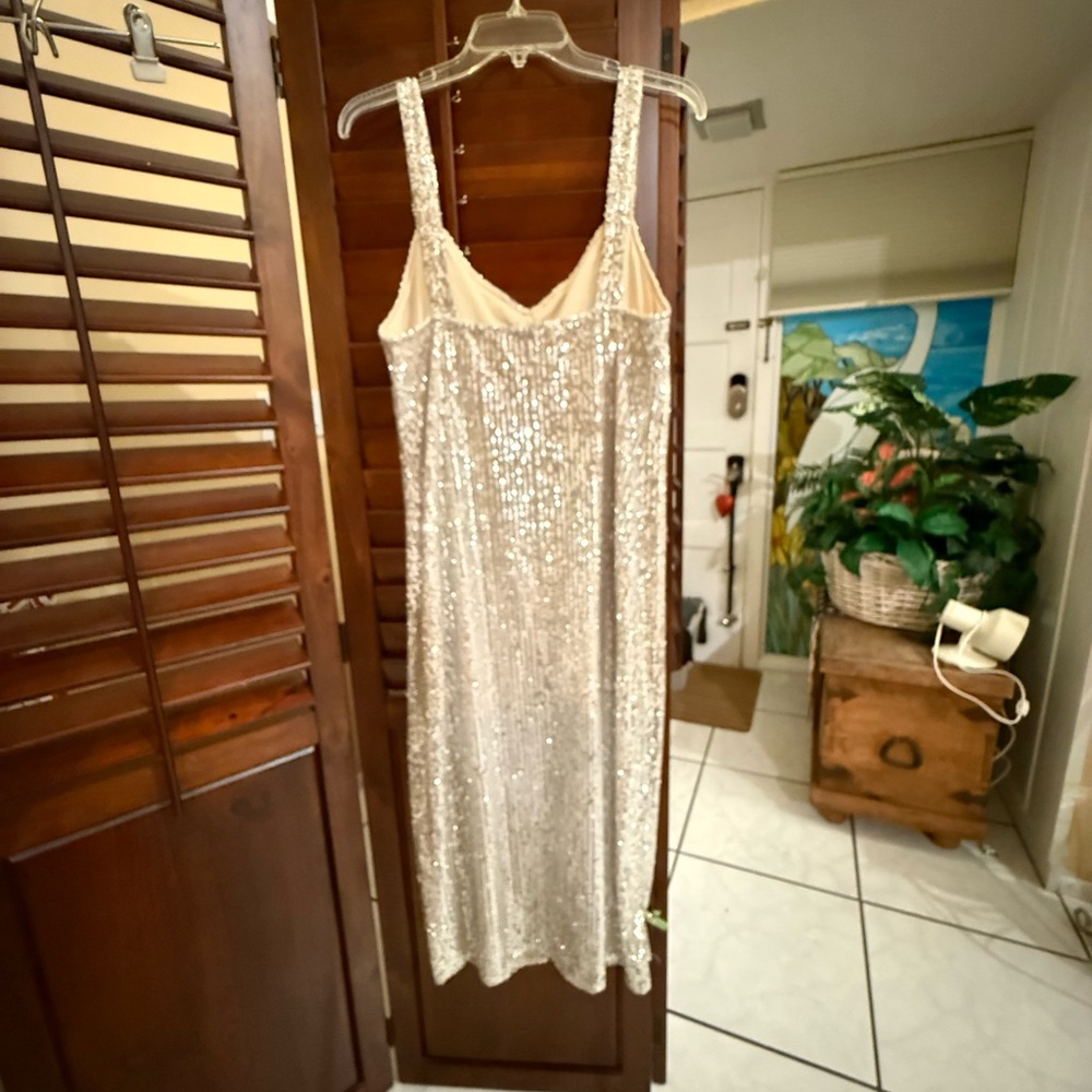 2026 PRICE DROP!! Zara Silver Sequin Maxi Dress - Picture 2 of 5